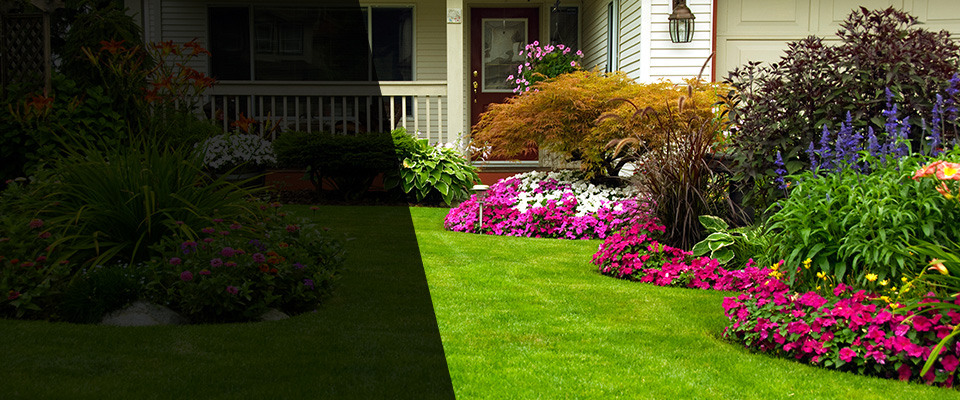 Portland Landscapers